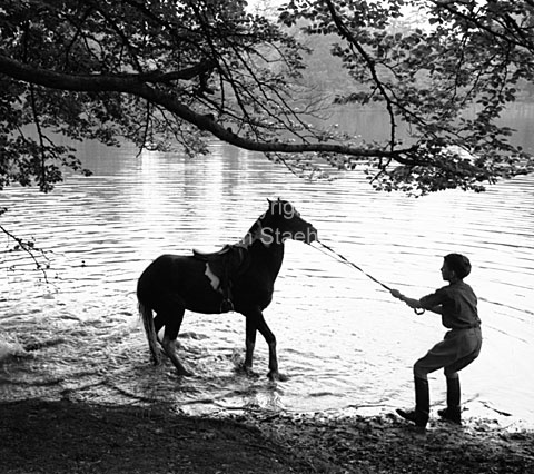 Barn og pony