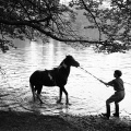 Barn og pony
