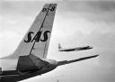 SAS DC-7 og DC-8