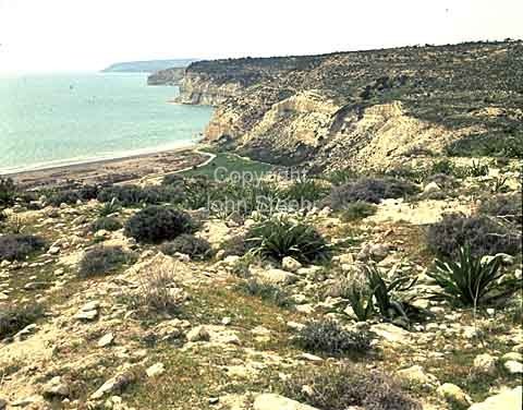 The coast Limassol