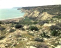 The coast Limassol