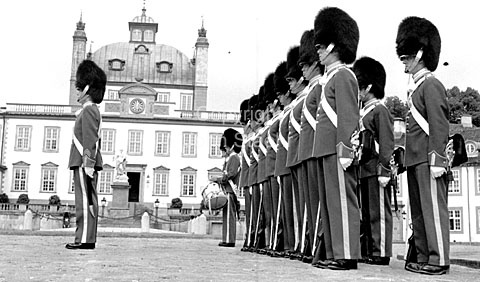 Royal guard