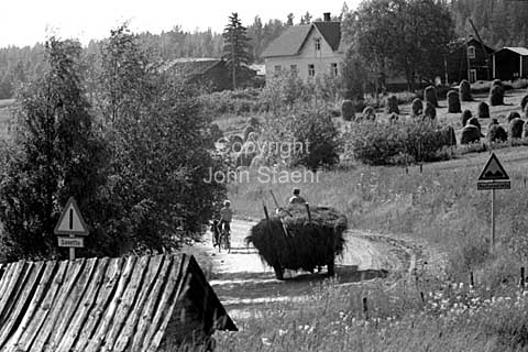 In the country near Jyväskylä in Finland.
00-07-64.
24x36, tiff, 300 dpi, size: 4 - 7 MB.
Printsize: 25 cm. sa64342305.jpg